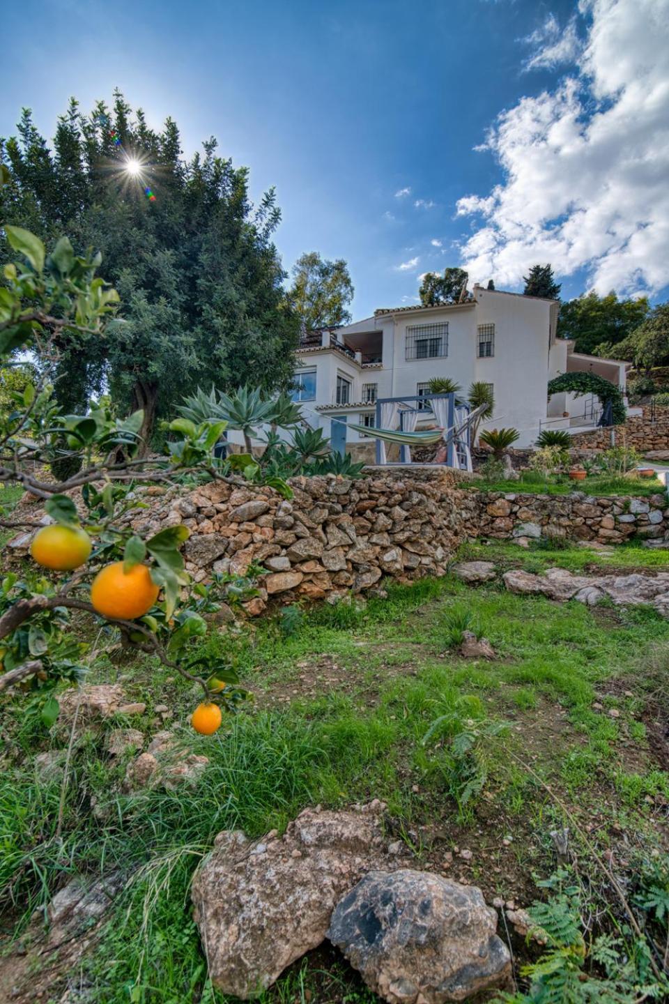 Villa Morera Bed & Breakfast Frigiliana Zewnętrze zdjęcie